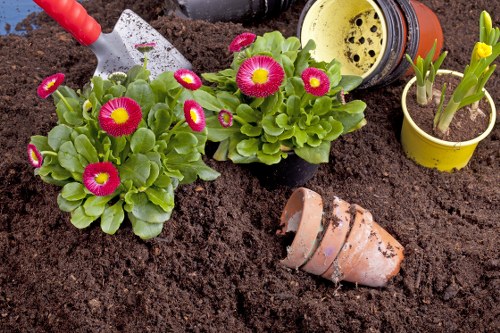 Landscaping website cookie policy illustration for Blackfriars