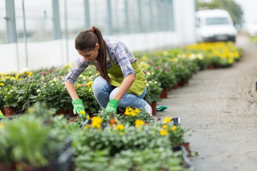 Professional planting services in Blackfriars for urban outdoor spaces