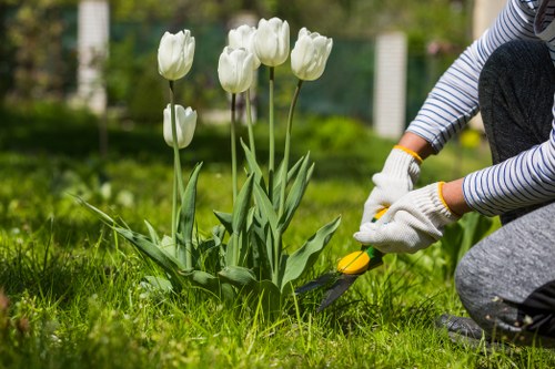 Landscaping pricing in Blackfriars with clear waste removal estimate