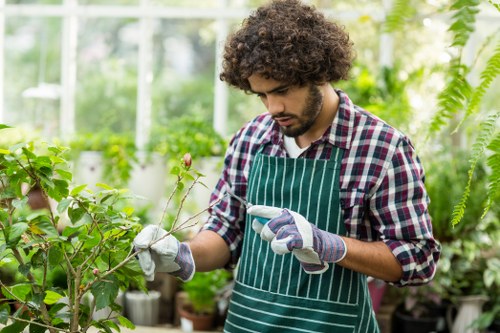 Landscaper assessing a service issue on site