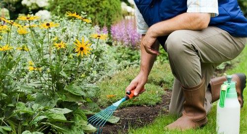 Weed and moss control improving a Blackfriars lawn