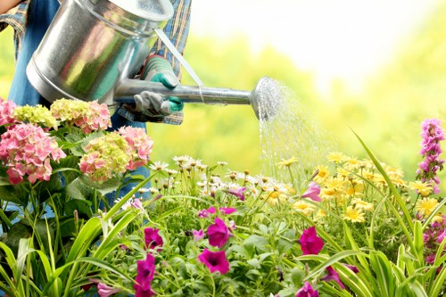 Lawn mowing equipment suited for Blackfriars properties