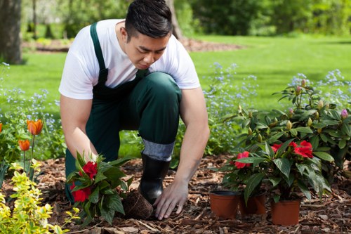 Modern hard landscaping and planting in Blackfriars